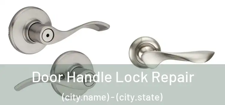 Door Handle Lock Repair (city.name) - (city.state)