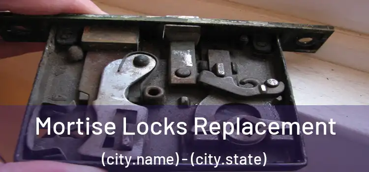 Mortise Locks Replacement (city.name) - (city.state)